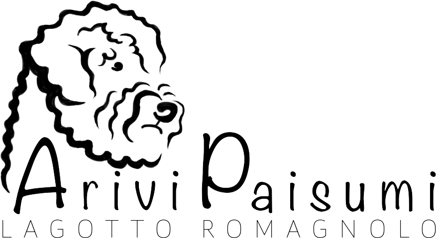 Arivi Paisumi - Lagotto Romagnolo Audzētava Latvijā, Romanjas Ūdenssuns
